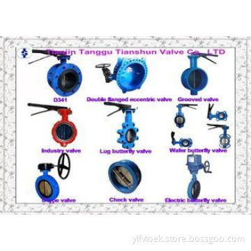 High Performance Double Flange Centerline Butterfly Valves